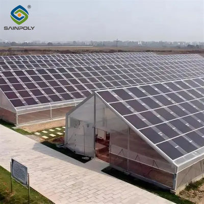 Ein guter Preis. Solar-PV-Gewächshaus Solarenergie-Gewächshaus Modernes Design Online