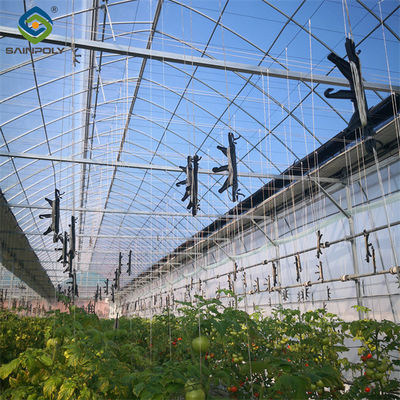 ราคาดี โรคกระเทียม Single ช่วง โรงเรือน Hydroponics การปลูกกระจกขนาดใหญ่ ออนไลน์