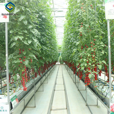 Un bon prix. Système de culture par gouttière Serre commerciale de tomates avec structure en acier en ligne
