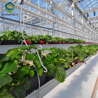 quality Large Scale Greenhouse Agricultural Green House Stable Structure Easily Assembled factory