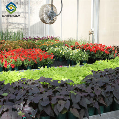 Un buon prezzo. Protezione UV Serra per giardini di fiori trasparente Facile da assemblare in linea