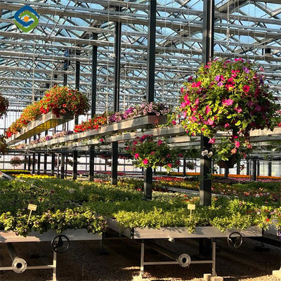 Un buon prezzo. Resistente ai raggi UV Viterbo a fiori di Mutli Span in linea