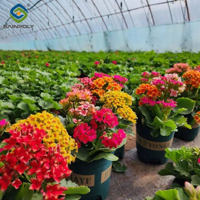 Giá tốt. Thương mại 4 mùa trồng hoa nhà kính Nhà kính chống tia UV trực tuyến