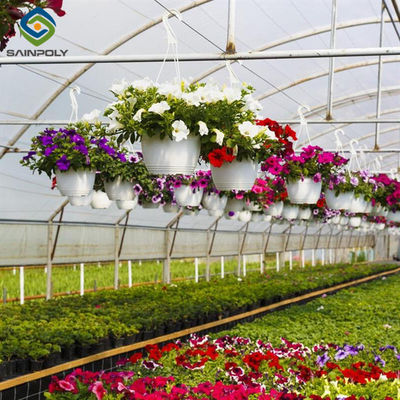 quality OEM Agriculture Green House Commercial Glass Greenhouse With Humidity Regulation factory