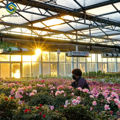 Ein guter Preis. Blüten wachsender Stahlrahmen Gewächshaus Windfestigkeit Großer Glasgewächshaus Online