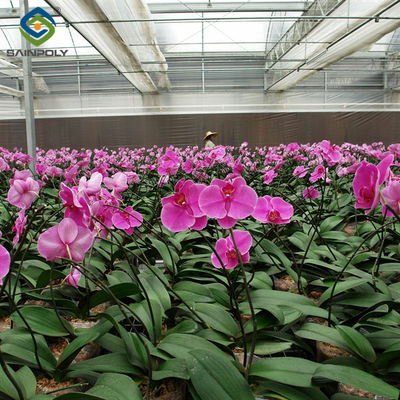 Goede prijs. Binnenshuis Buitenhuis Gebruik Bloemen Kasten Commerciële kasten Weerbestendig online