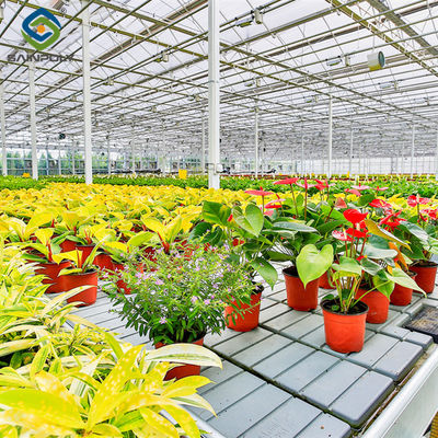 Ein guter Preis. Intelligente Smart-Blumen-Gewächshäuser mit Wasserpflanzungssystem-Rollbank-Pflanzbeuteln Online
