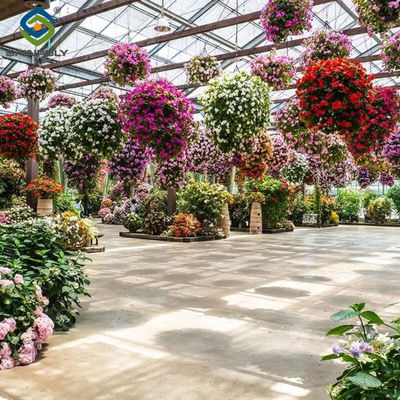 Un buon prezzo. Struttura più resistente Fiore serra impermeabilizzazione resistente alle intemperie in linea