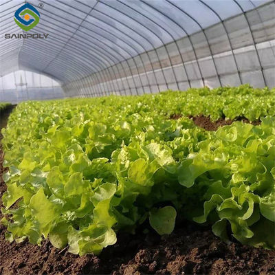 ราคาดี ไซนโปลี โรงเรือนกระจก Hydroponic Commercial สําหรับพืชปลูกสลัด ออนไลน์