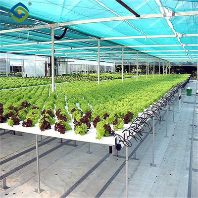 Giá tốt. Dễ dàng lắp đặt Nhà kính nông nghiệp tùy chỉnh với đèn LED trực tuyến