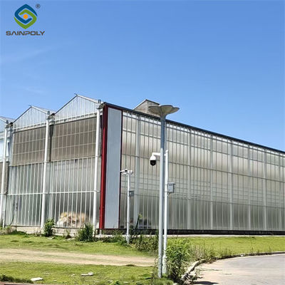 Giá tốt. Nhà kính polycarbonate nông nghiệp đa dải Venlo Style 30-60m trực tuyến