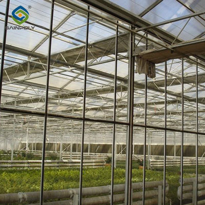 quality Agricultural Glass Venlo Type Greenhouse Wind Resistance Professional Installation factory