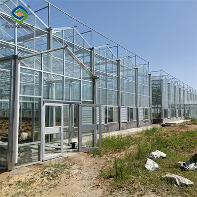 Ein guter Preis. Venlo Multi Span Custom Glas Gewächshaus für Gemüseanbau Online