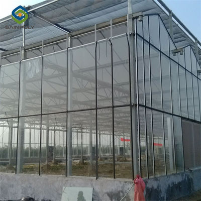 Un buen precio. Invernadero de vidrio de venlo agrícola de larga duración Buen aislamiento en invierno en línea
