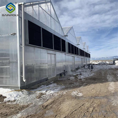 Un buon prezzo. Serra in film di policarbonato resistente alla neve 100% buio Facile da installare in linea