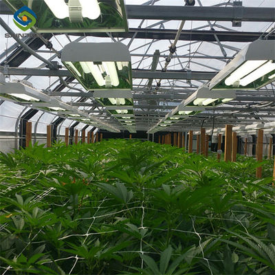 İyi bir fiyat. Elektrik Tipi Tam Karanlık Kapatma Sera Tarımsal Ticari için çevrimiçi