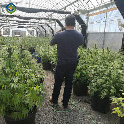 Bom preço. Personalização Automatizado Luz Dep Estufa Grande Tamanho 3 camadas on-line