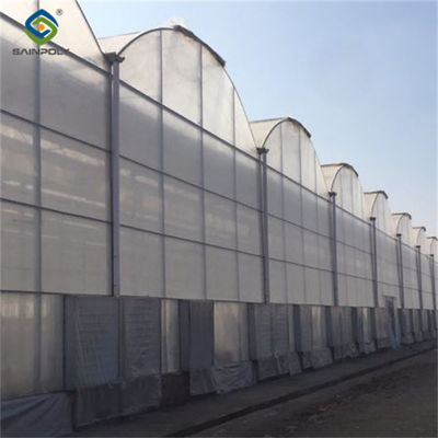 quality Large Plastic Covering Greenhouse Economical Solution For Agricultural factory