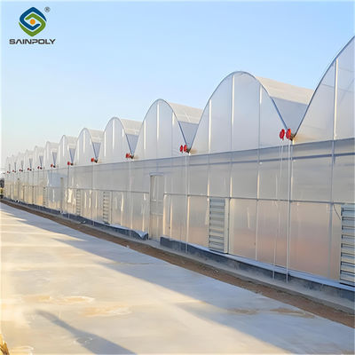quality Customized Commercial Greenhouse Vegetable Production For Pepper And Cucumber factory
