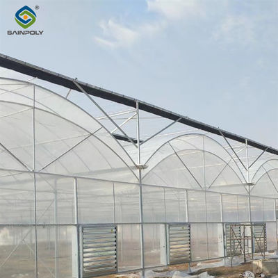 Un buen precio. Invernadero agrícola de varias extensiones Estructura fuerte para la plantación de tomate en línea