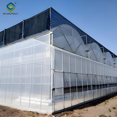 quality Economical Commercial NFT Hydroponic Greenhouse Plastic Film Greenhouse factory