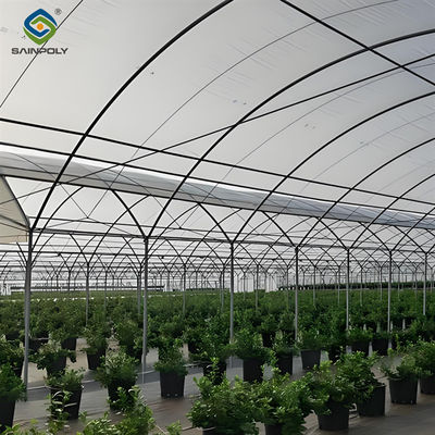İyi bir fiyat. Galvanizli Çerçeve Güçlü Yapı Blueberry Sera Çiftliği Tek Katman çevrimiçi