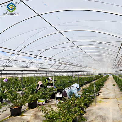 Giá tốt. Tùy chỉnh Multi Span nhà kính nông nghiệp nhà kính cho Berry trực tuyến
