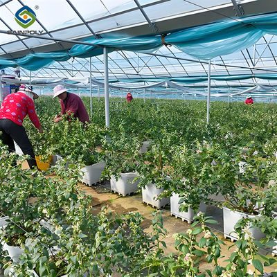 İyi bir fiyat. Profesyonel Yapı Tarımsal Blueberry Sera Özelleştirilebilir çevrimiçi