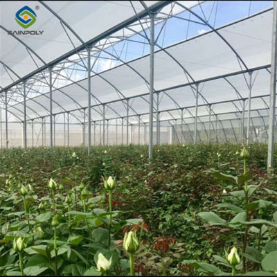 Harga yang bagus Customization Commercial Gothic Type Greenhouse Dengan Sistem Listrik on line