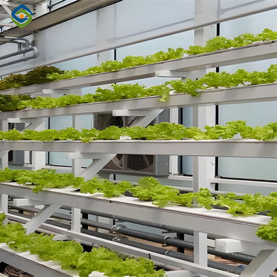 Un buon prezzo. Certificazione ISO Serra idroponica commerciale per l'agricoltura anticorrosione in linea