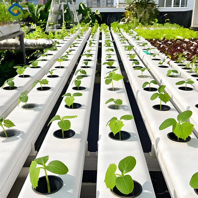 ราคาดี อาหารเกรด PVC ท่อ NFT ช่อง Hydroponic ฤกษ์เรือนกระจก Eco Friendly ออนไลน์