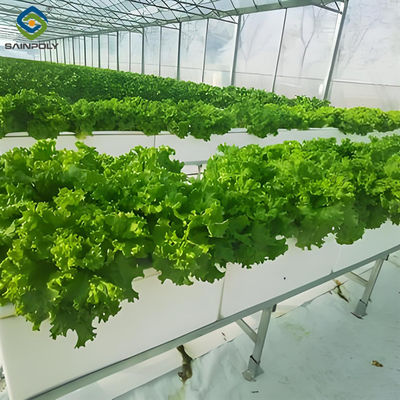 ราคาดี โรงเรือนกระจก Hydroponic อัตโนมัติที่มีผลิตสูง โรงเรือนกระจกขนาดใหญ่ ออนไลน์