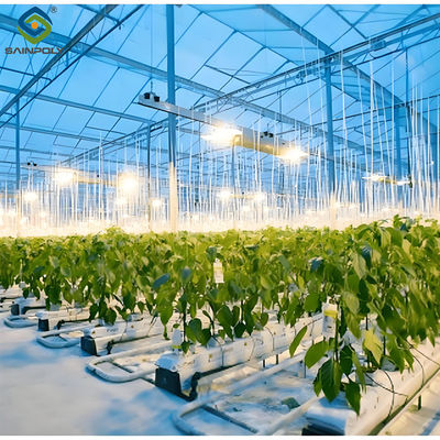 quality High Yield Large Vertical Hydroponic Greenhouse Soilless Cultivation factory