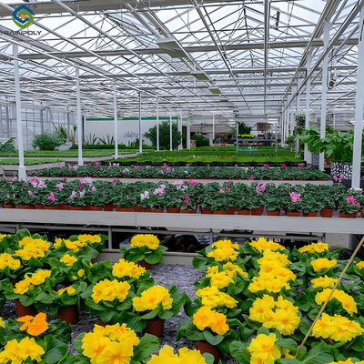 Ein guter Preis. Wasserdichtes Blumengewächshaus Mehrspannengewächshaus mit starker Belastbarkeit Online