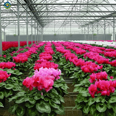 Ein guter Preis. Gemachte Blumengrünhäuser Einfache Montage Pflanzen Gewächshäuser Online
