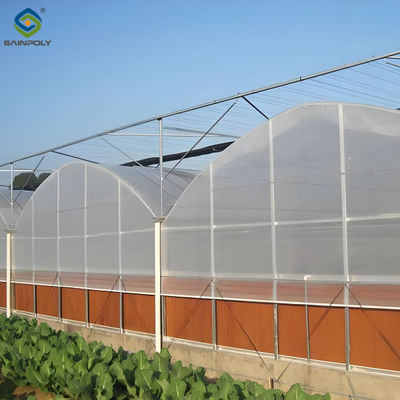 Ein guter Preis. Hydroponisches Glas/Pc-Blatt Gewächshaus mit Tomatenanbausystem Groß Online