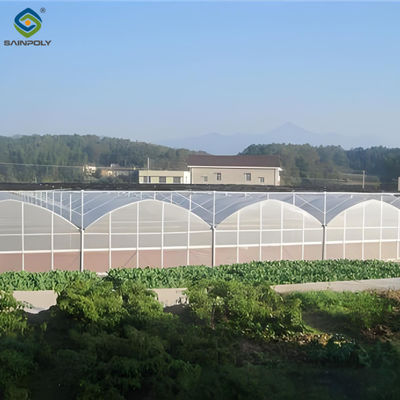 Giá tốt. 30m/50m/60m Chiều dài Multi Span Nhà kính Cây rau Cây kính phim nhựa trực tuyến