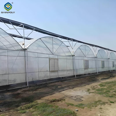 Ein guter Preis. Verzinkte Stahl-Multispan-Werkschicht aus Polycarbonat-Gewächshaus Online