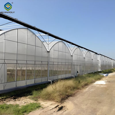 Giá tốt. Polycarbonate bao gồm nhiều chiều dài nhà kính trồng cà chua nhà kính CE trực tuyến