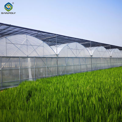 quality Commercial Agriculture Multi Span Poly Film Greenhouse Transparent Wind Resistance factory