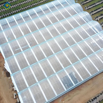 Ein guter Preis. Ein großer kommerzieller Gewächshaus mit hydroponischem Anbausystem Online