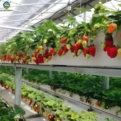Ein guter Preis. Erdbeerwachstum Plastikfolie Gewächshaus mit hydroponischem Anbausystem Online