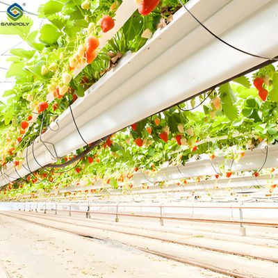 quality Stable Energy Saving Strawberry Greenhouses With Heating Cooling System factory