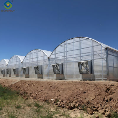 Giá tốt. Nhà kính phong cách Gothic đa tường polycarbonate với tấm rỗng trực tuyến