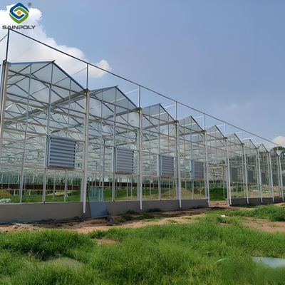 Giá tốt. Đường phủ bóng điều chỉnh Venlo nhà kính Multi Span Glass Greenhouse trực tuyến