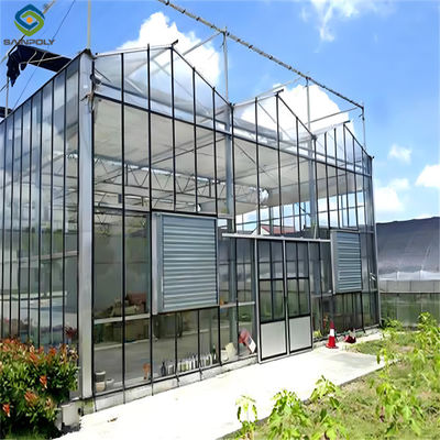 quality Intelligent Venlo Glass Greenhouse For Tomato Strawberry Growing Turnkey Project factory