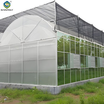 Harga yang bagus Large Multi Span Hydroponic PC Sheet Greenhouse Snow Resistance Struktur yang kokoh on line