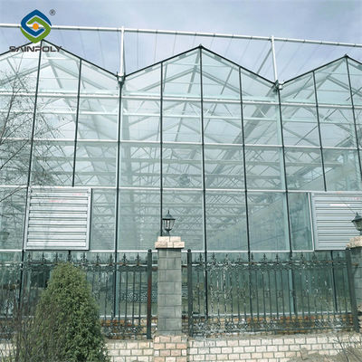 좋은 가격 벤로 온실 상업용 폴리카보네이트 유리 온실 씨앗 채소 수식 토마토 온라인으로